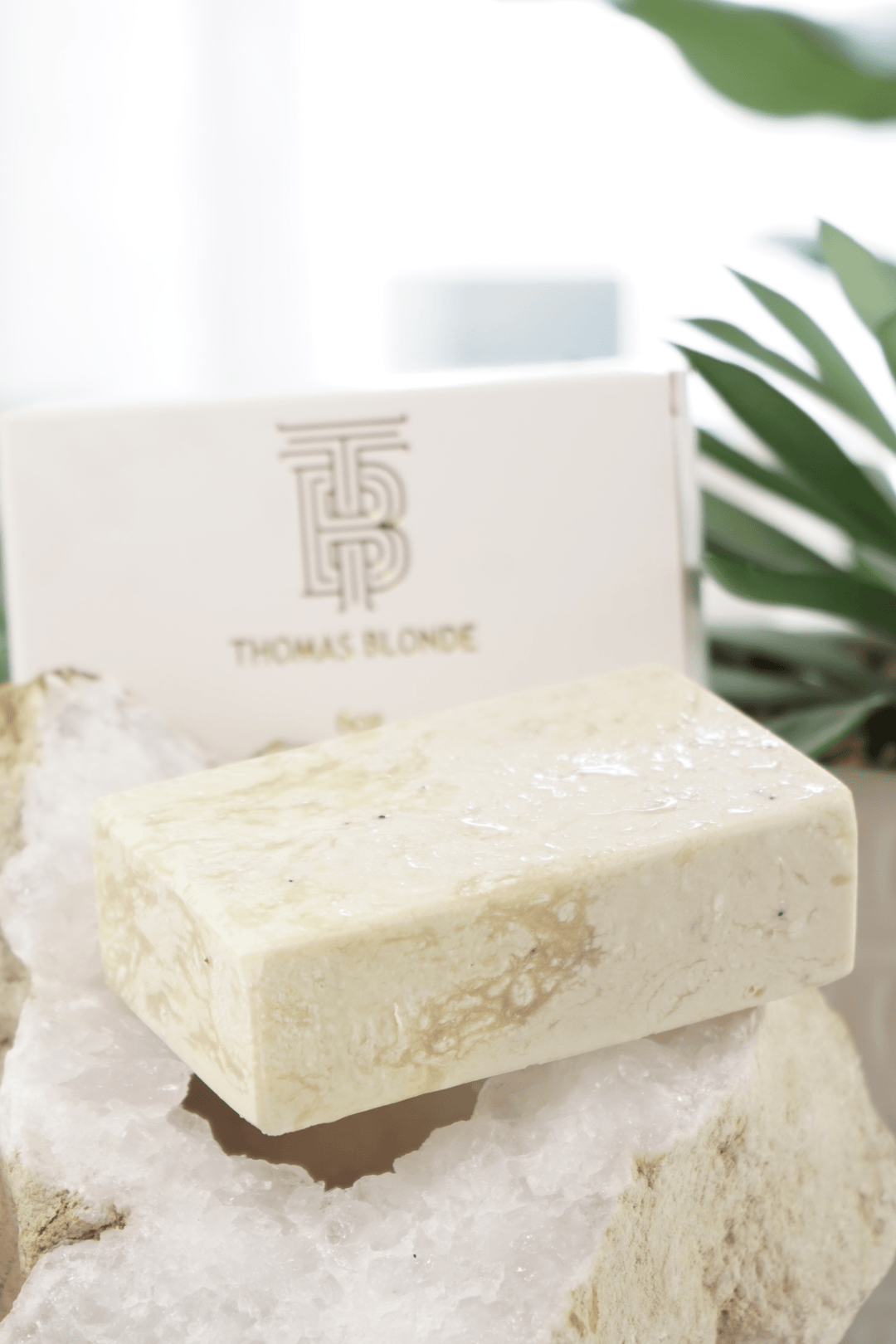 Exfoliating Moisturizing Body Bar | Joshua Tree