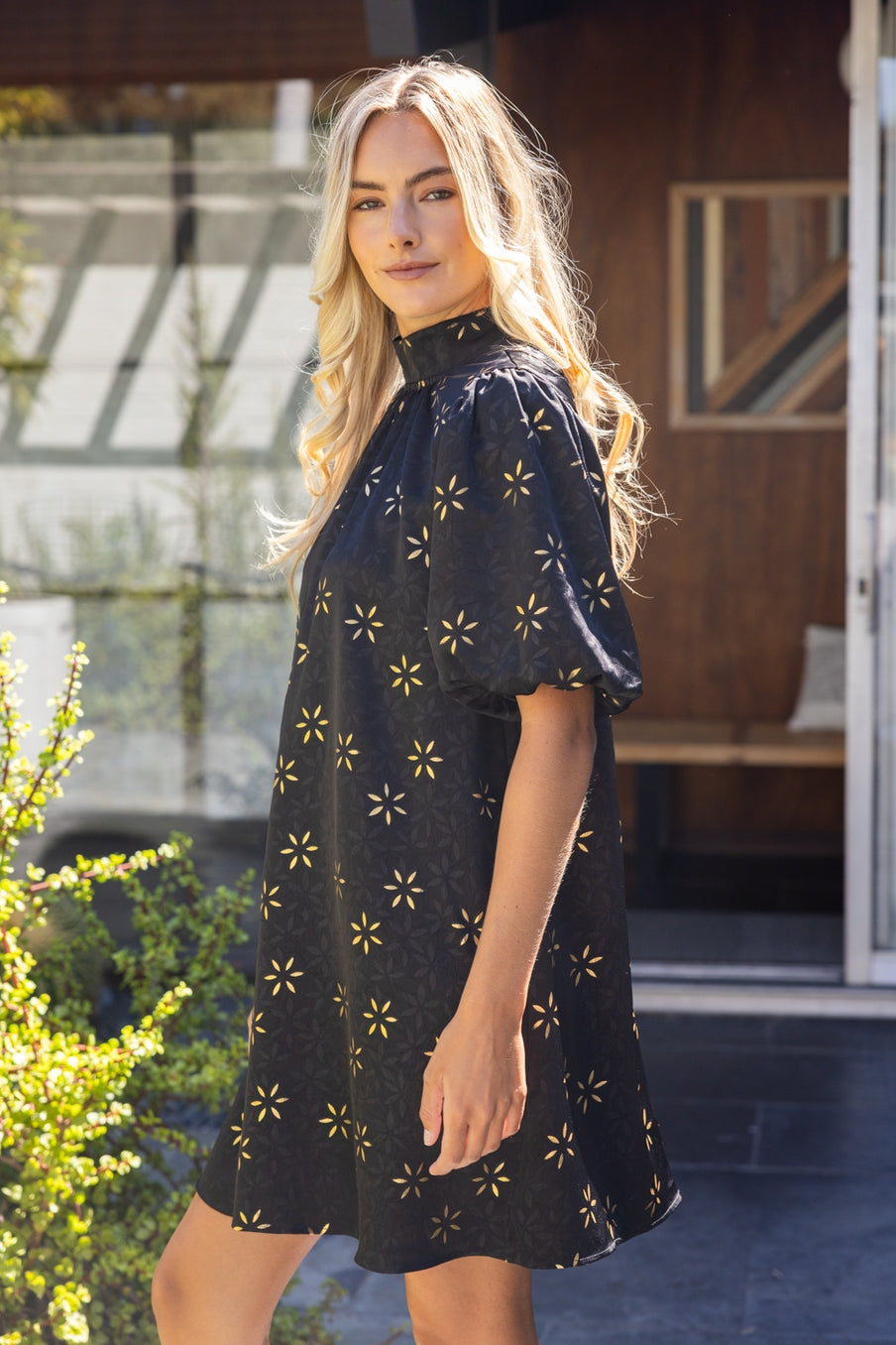 Black Dahlia Dress