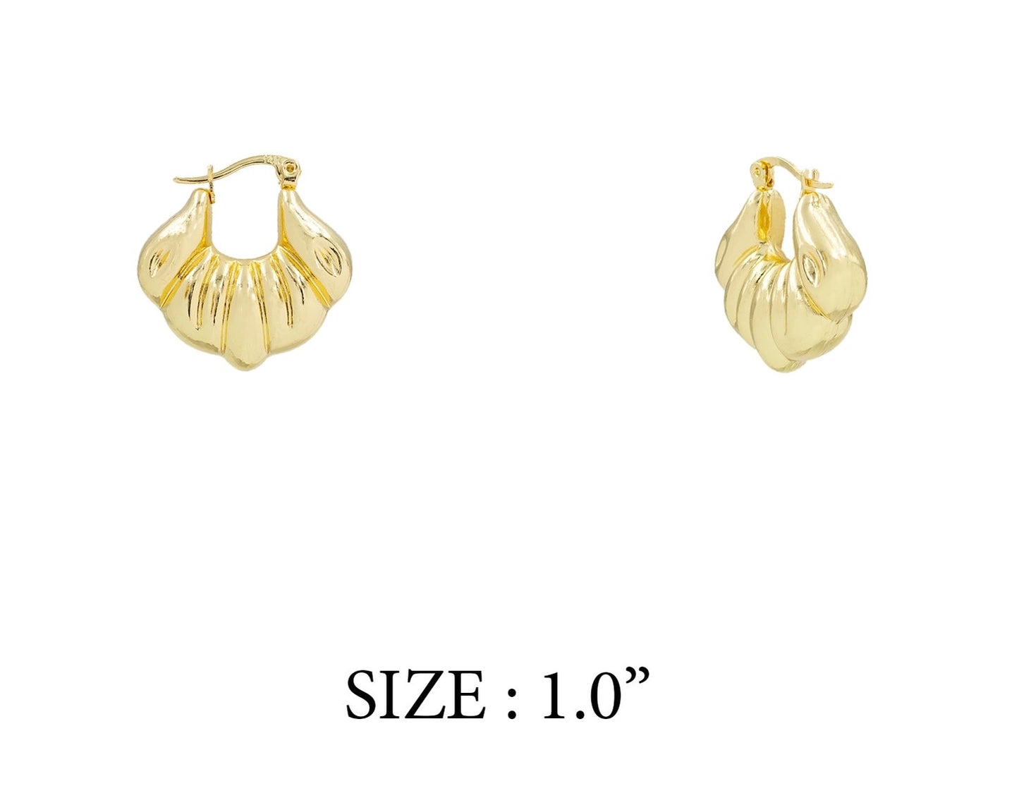 Gold Puffy Pointed Shell Earrings